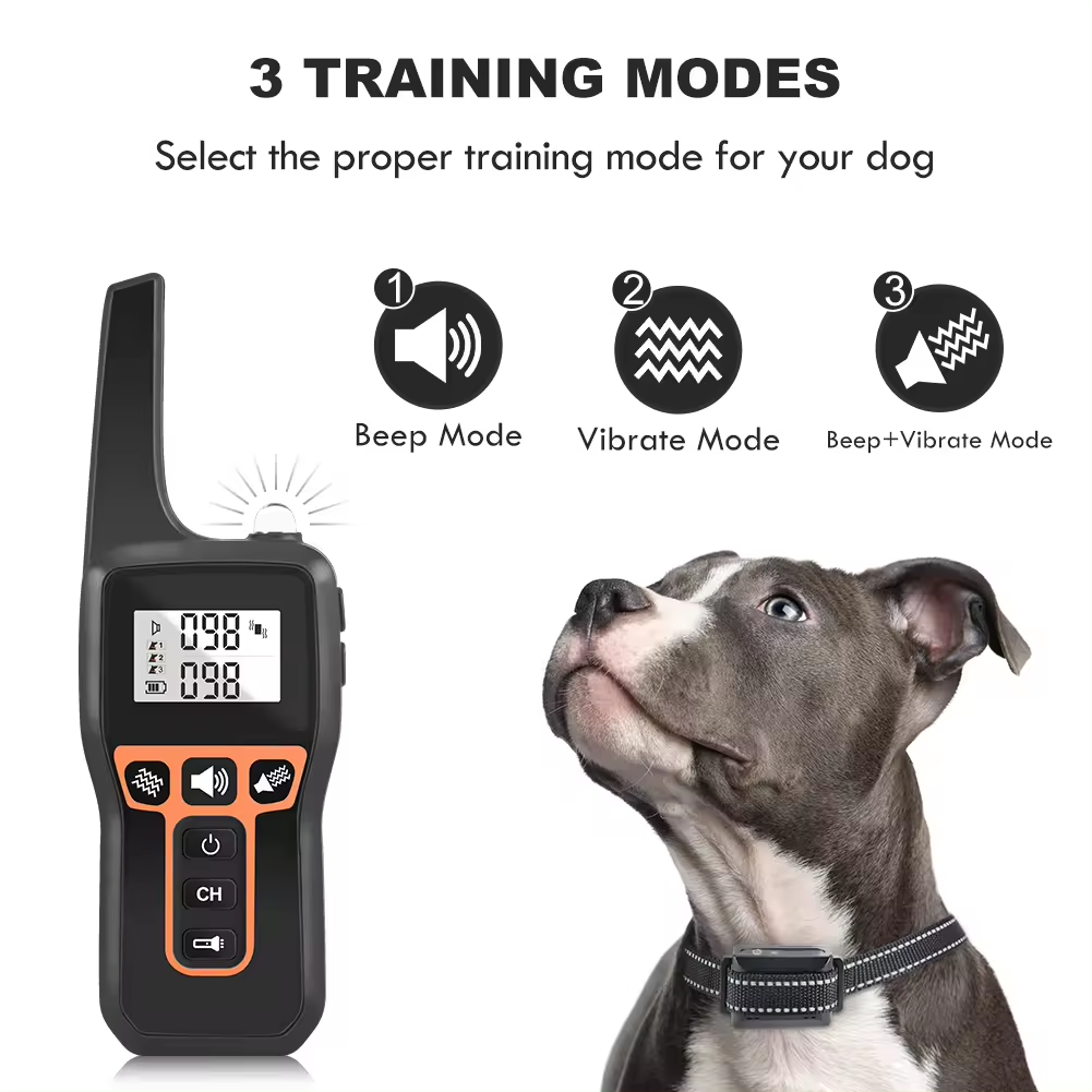 Antiskällhalsband med fjärrkontroll – effektiv och skonsam träning för din hund