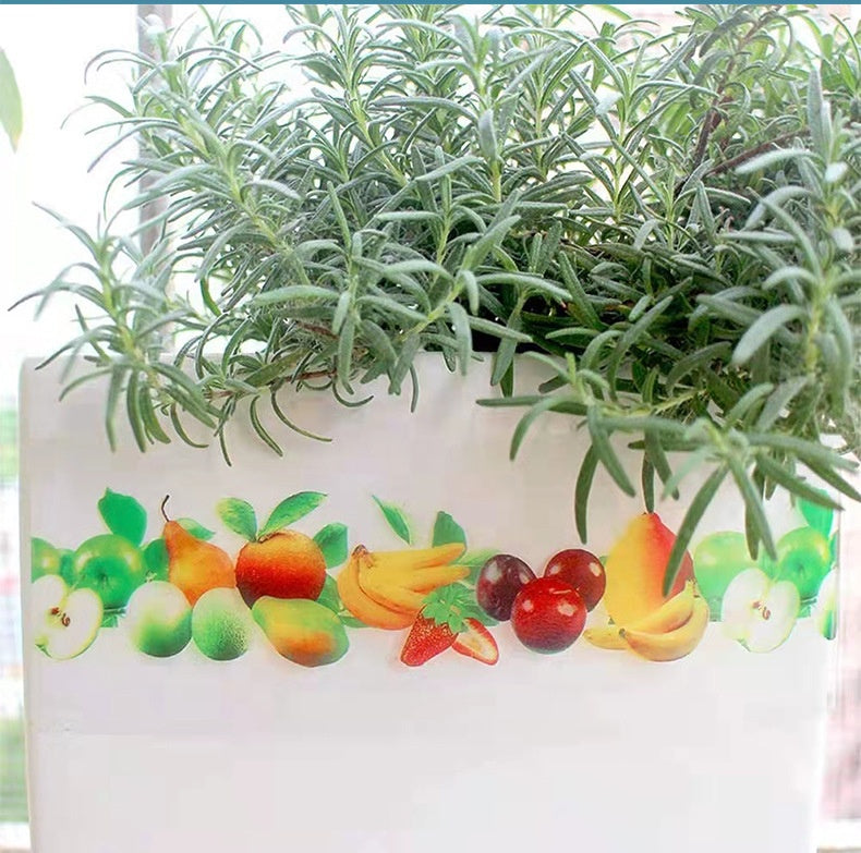 Flugfälla för fönster 10-pack