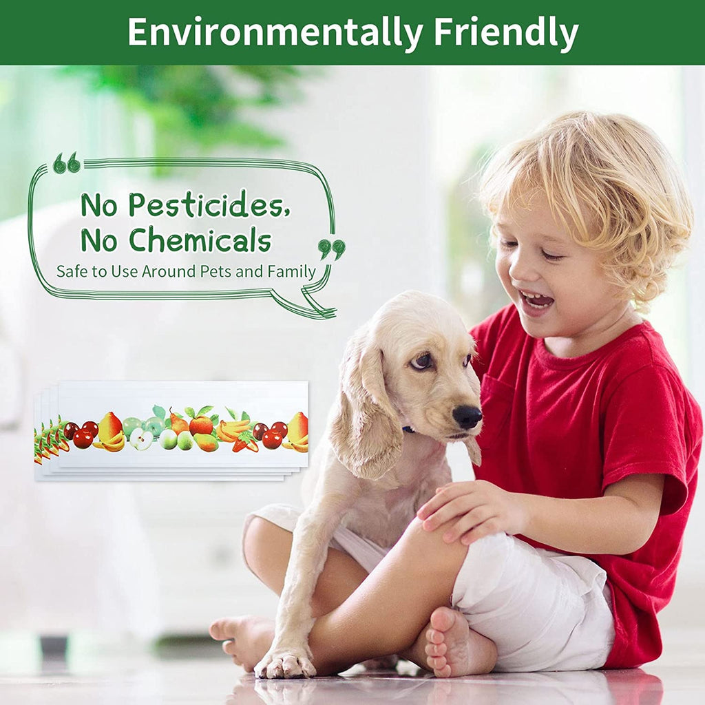 Flugfälla för fönster 10-pack