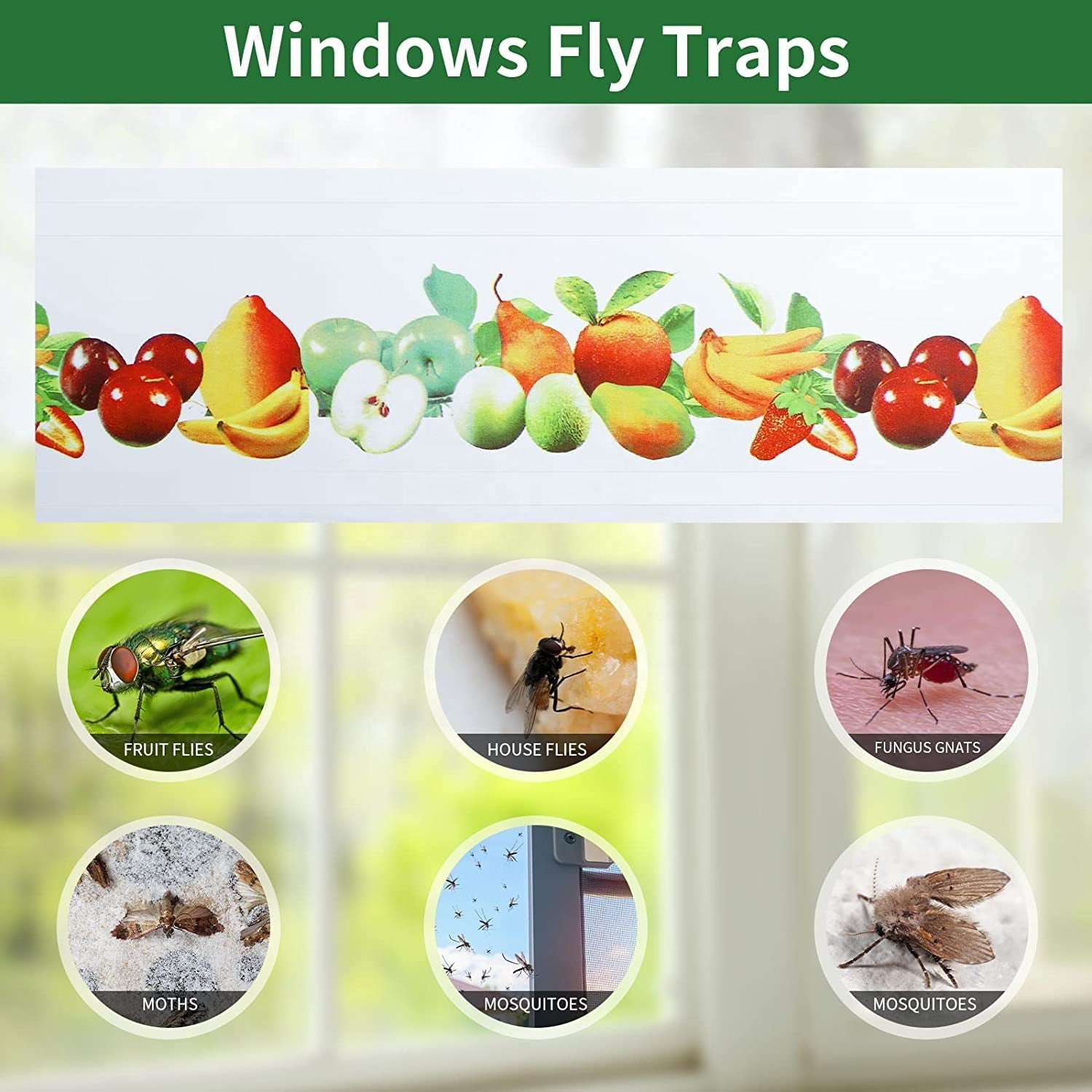 Flugfälla för fönster 10-pack
