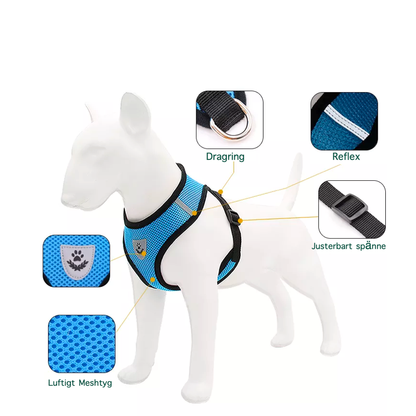 Hundsele i mesh med tillhörande koppel