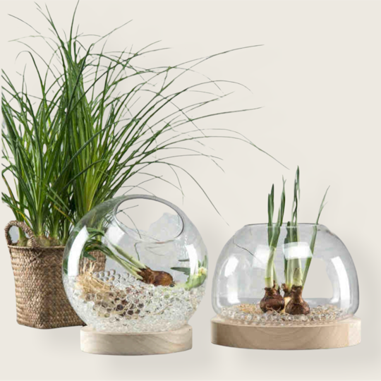 Vattenpärlor Storpack Köp 5 betala 4!